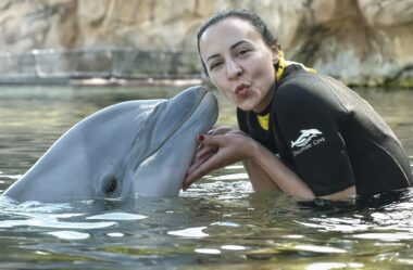 ✅ PLANEJAMENTO DE VIAGEM PARA A DISNEY 