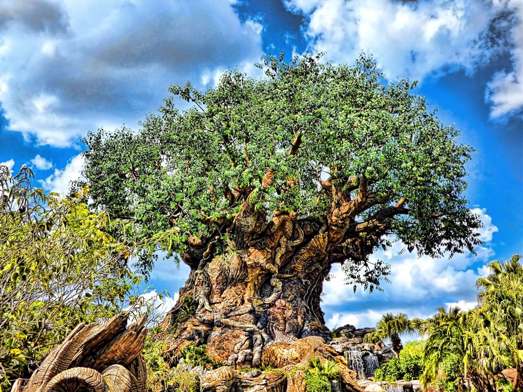 Árvore da Vida na Disney