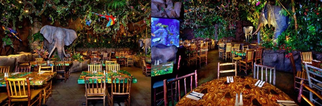 Por dentro do Rainforest Cafe de Orlando