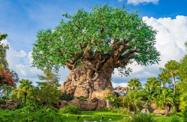 Bluey’s Wild World no Animal Kingdom: Como a Fila Virtual Muda o Jogo (e o Seu Roteiro)