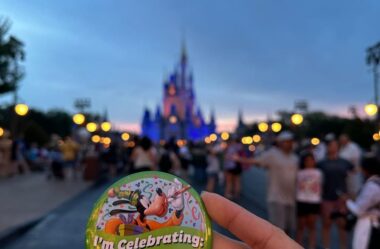 Lightning Lane Premier Pass esgota por 7 dias seguidos no Magic Kingdom: o que muda para o seu bolso?