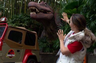 Pteranodon Flyers ficará fechado até 2026: preciso mudar meu roteiro do Islands of Adventure?