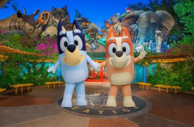 Bluey’s Wild World no Animal Kingdom: O que muda na sua viagem a partir de 2026?